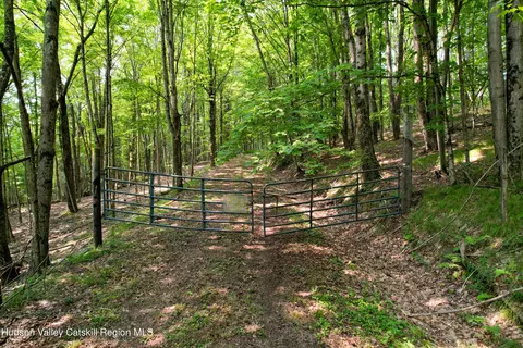 0 Paradise Camp Rd, Fleischmanns, NY 12430