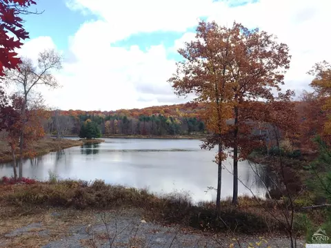 6 Stonegate Off Birch Hill Rd, Copake Lake, NY 12521