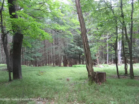 0 Airport Rd Lot #1, Lexington, NY 12452