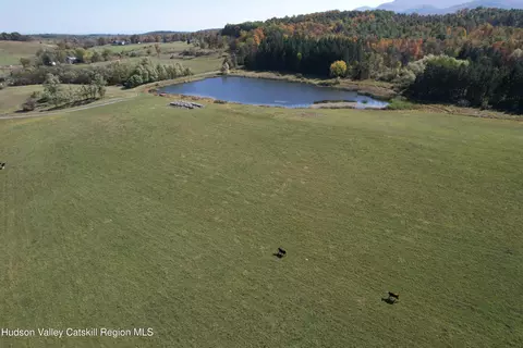 0 Cunningham And Cochrane Rd, Durham, NY 12422 photo 16