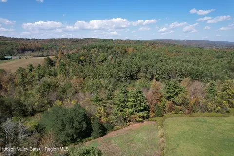 0 Cunningham And Cochrane Rd, Durham, NY 12422 photo 6
