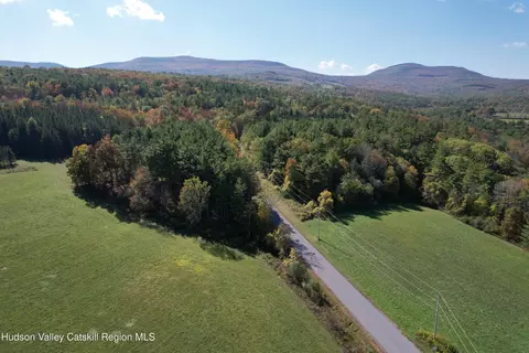 0 Cunningham And Cochrane Rd, Durham, NY 12422 photo 5
