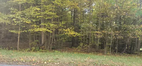 0 Cunningham And Cochrane Rd, Durham, NY 12422 photo 9