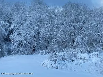 0 Cangiano Dr, Prattsville, NY 12468