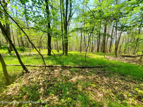 tbd Piney Ln, Cragsmoor, NY 12420