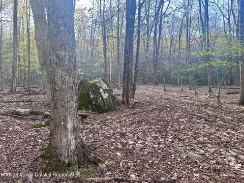 0 Lot Cross Patch Rd, Willow, NY 12495 photo 7