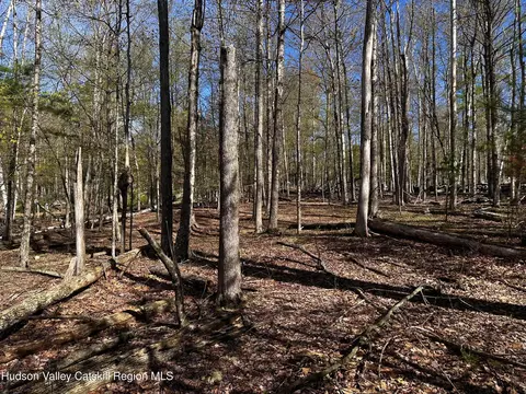 0 Lot Cross Patch Rd, Willow, NY 12495 photo 8