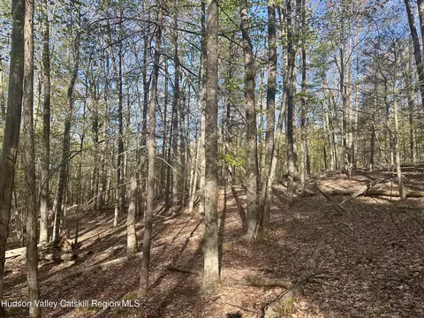 0 Lot Cross Patch Rd, Willow, NY 12495 photo 3