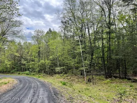 801 Oakwood Cir, Stone Ridge, NY 12484