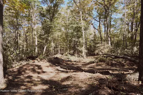 lot5 Flatbush Ave, Kingston, NY 12401