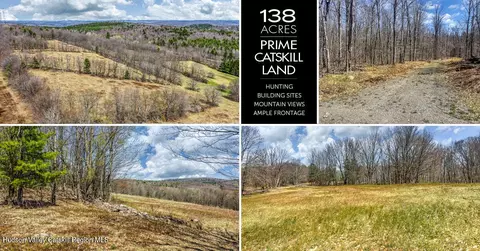 0 Frank Slawson Rd, Oneonta, NY 13820