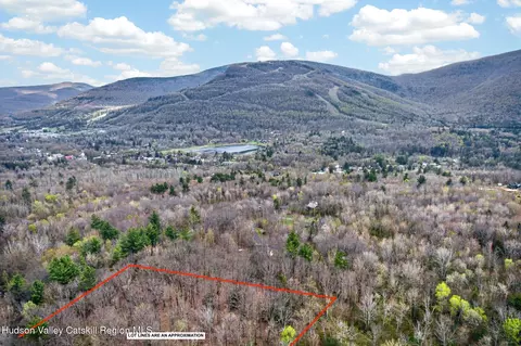0 Camp Schoharie Rd, Hunter, NY 12442