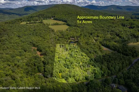 0 Joe Todd Rd, Fleischmanns, NY 12430