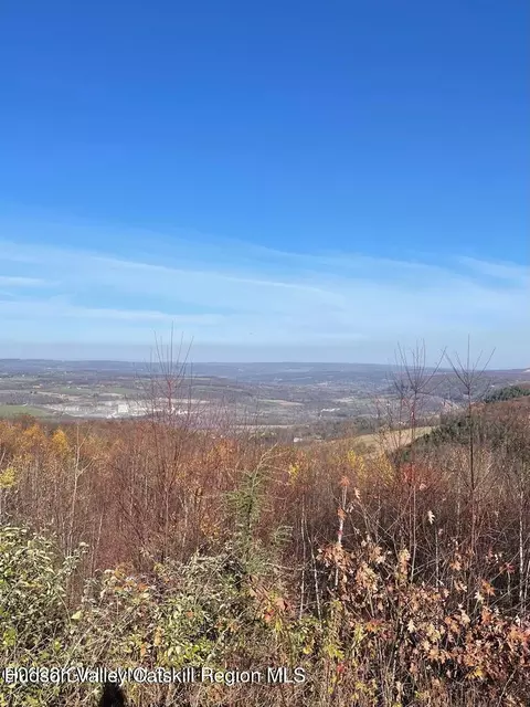 L26 & L27 Ecker Hollow Road, Cobleskill, NY 12043