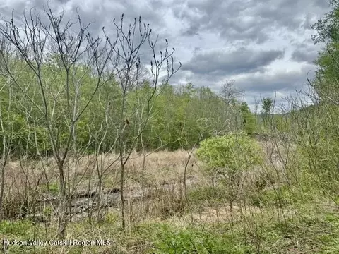 25 Wright Rd, Lanesville, NY 12450 photo 13