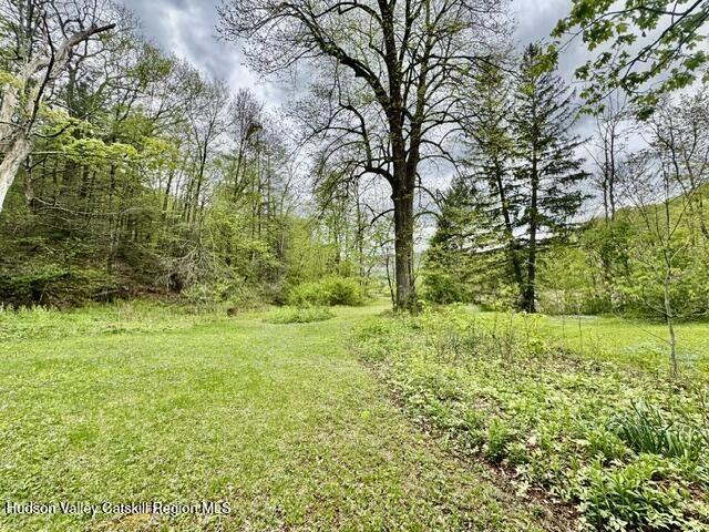 25 Wright Rd, Lanesville, NY 12450
