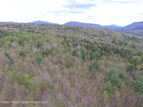 View/Area - 184 Cloos Rd, Hunter, NY 12442 photo 3 of 4