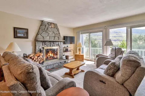Living - 33 Scribner Hollow Rd #E4, Hunter, NY 12442 photo 1 of 8