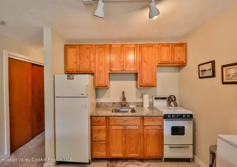 Other - 33 Scribner Hollow Rd #E4, Hunter, NY 12442 photo 3 of 4