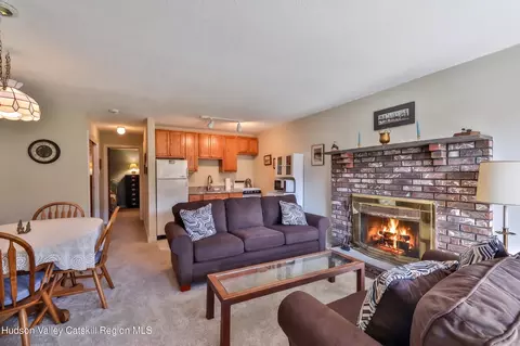 Living - 33 Scribner Hollow Rd #E4, Hunter, NY 12442 photo 7 of 8