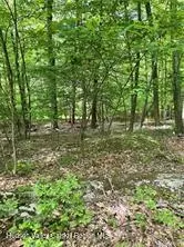 tbd Hawleys Corners Rd, Highland, NY 12528