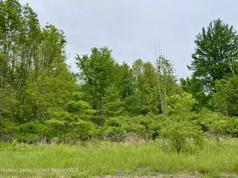 tbd Orchard Dr, Plattekill, NY 12568