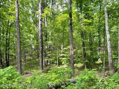 L-6 N Joel M Austin Road N, Cairo, NY 12413