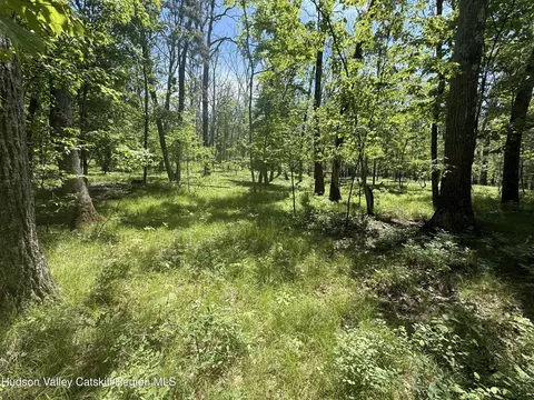 338 Mossy Hill Rd, Catskill, NY 12414