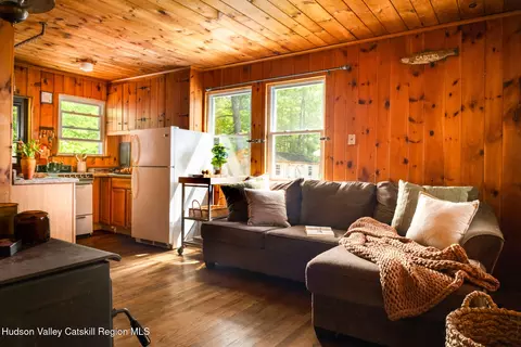 Living - 196 Maple Ave, Acra, NY 12405 photo 1 of 3