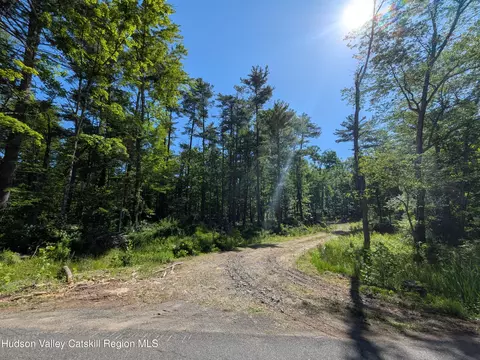 856 Berme Rd, High Falls, NY 12440