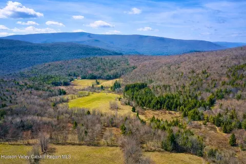 tbd Hogg Mountain Rd, Fleischmanns, NY 12430