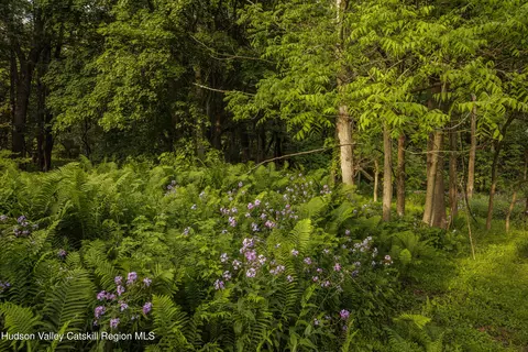Other - 57 Snake Rd, Catskill, NY 12414 photo 9 of 11