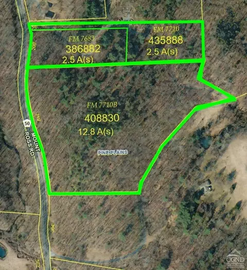 0 Mt Ross Rd, Pine Plains, NY 12567