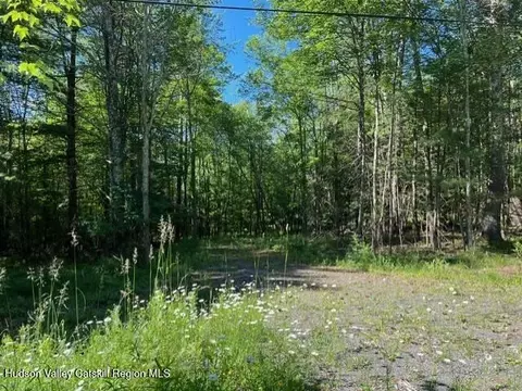 98 Norwegian Rd, Prattsville, NY 12468