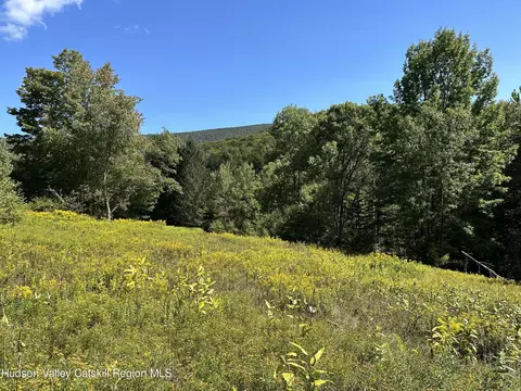tbd Todd Mountain Rd, Arkville, NY 12406