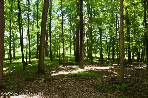 0 Rowe Rd, Red Hook, NY 12571 photo 8