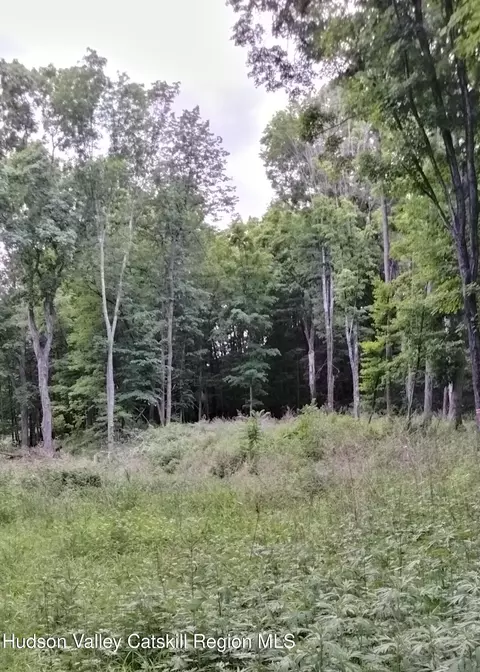 419 Cauterskill Ave, Catskill, NY 12414 photo 9