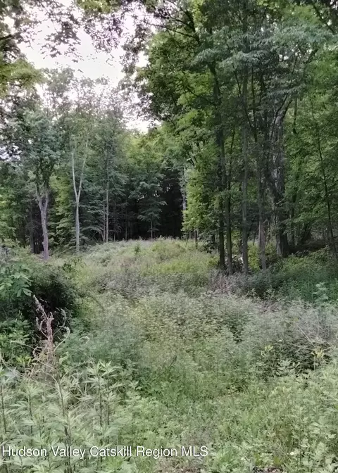 419 Cauterskill Ave, Catskill, NY 12414 photo 6
