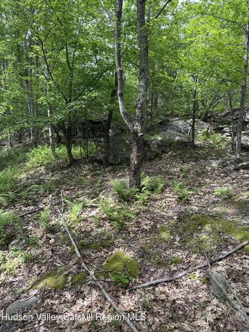 0 Route 40, East Jewett, NY 12424