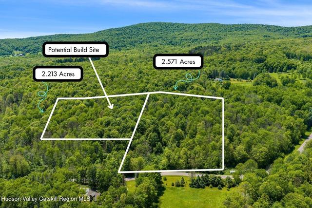lot S 8 11 Henry Williams Rd, Roxbury, NY 12474