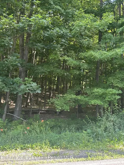0 Mountain Ave, Cairo, NY 12413 photo 7