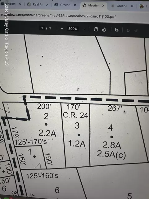 0 Mountain Ave, Cairo, NY 12413
