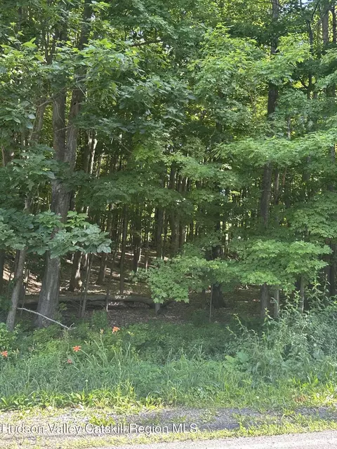 0 Route 31 Ave, Cairo, NY 12413 photo 7