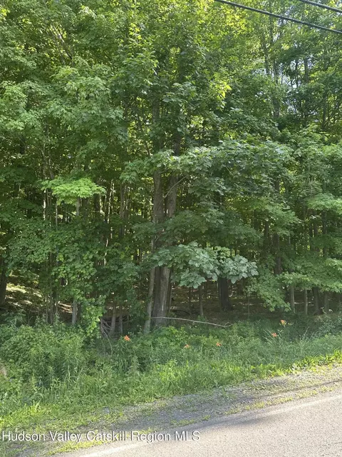 0 Route 31 Ave, Cairo, NY 12413 photo 6