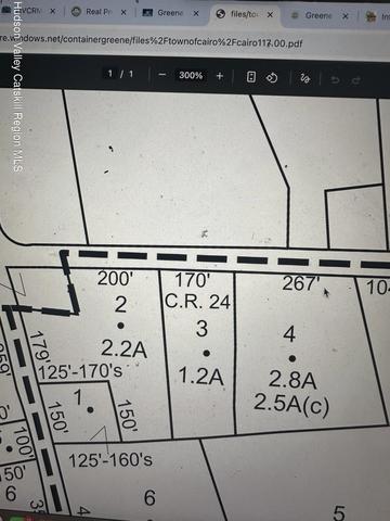 0 Route 31 Ave, Cairo, NY 12413
