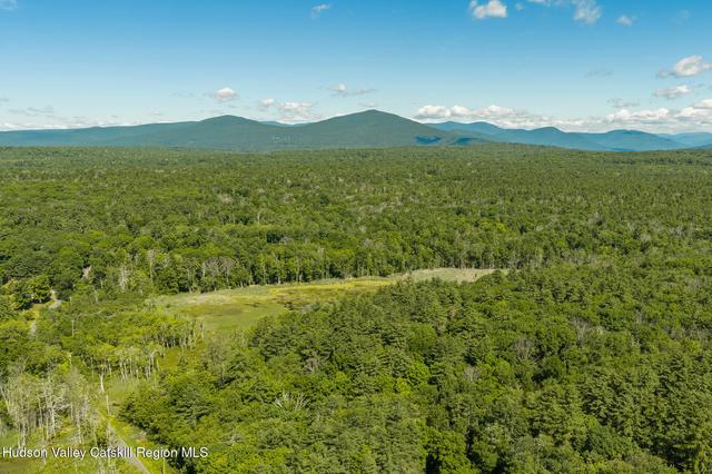tbd Buck Rd, Stone Ridge, NY 12484