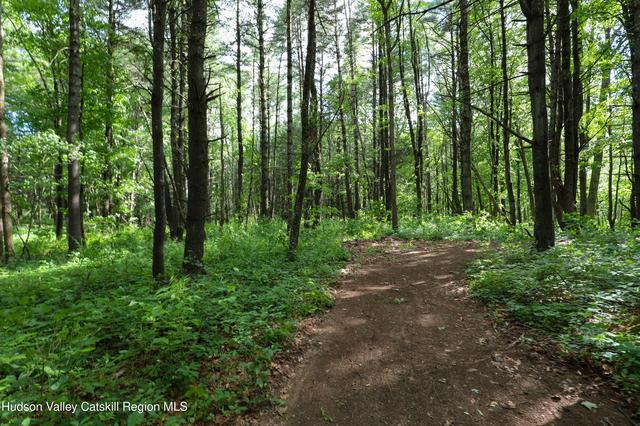 tbd Old Kings Rd, Catskill, NY 12414