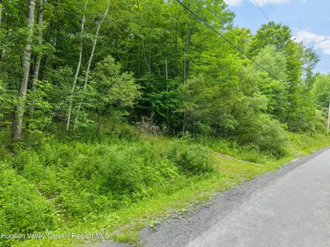 441 Dodge Lodge Rd, Richmondville, NY 12149