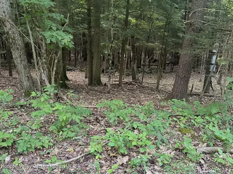lot Apt 12 Deer Path, Jefferson, NY 12093