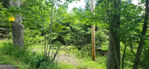 0 Route 32c, Windham, NY 12496 photo 1